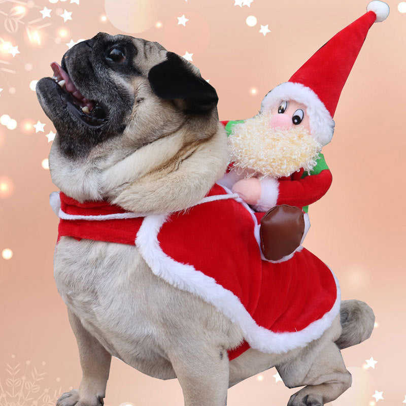 Funny Christmas Riding Santa Costume for Cats & Dogs Pets Possessions