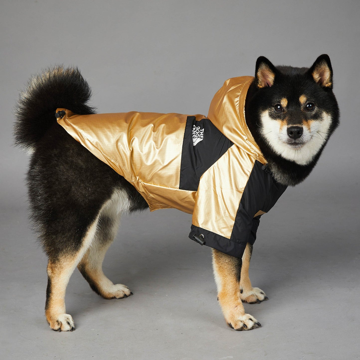 Stylish Windproof Raincoat for Dogs Pets Possessions LLC