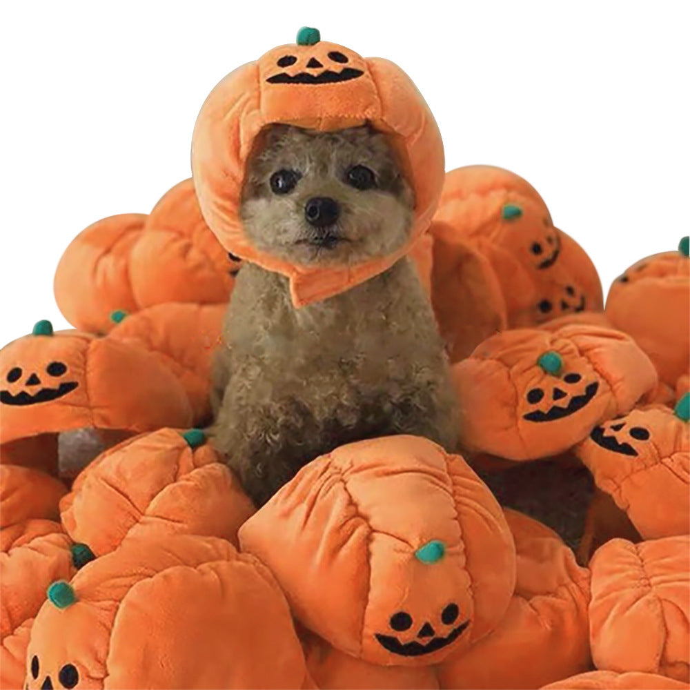 Funny Headpieces for Cats & Small Dogs Pets Possessions LLC
