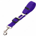 Durable Vehicle Seatbelt Leash for Cats and Dogs Pets Possessions
