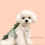 Elegant Bow Harness + Leash Set for Cats & Small Dogs Pets Possessions