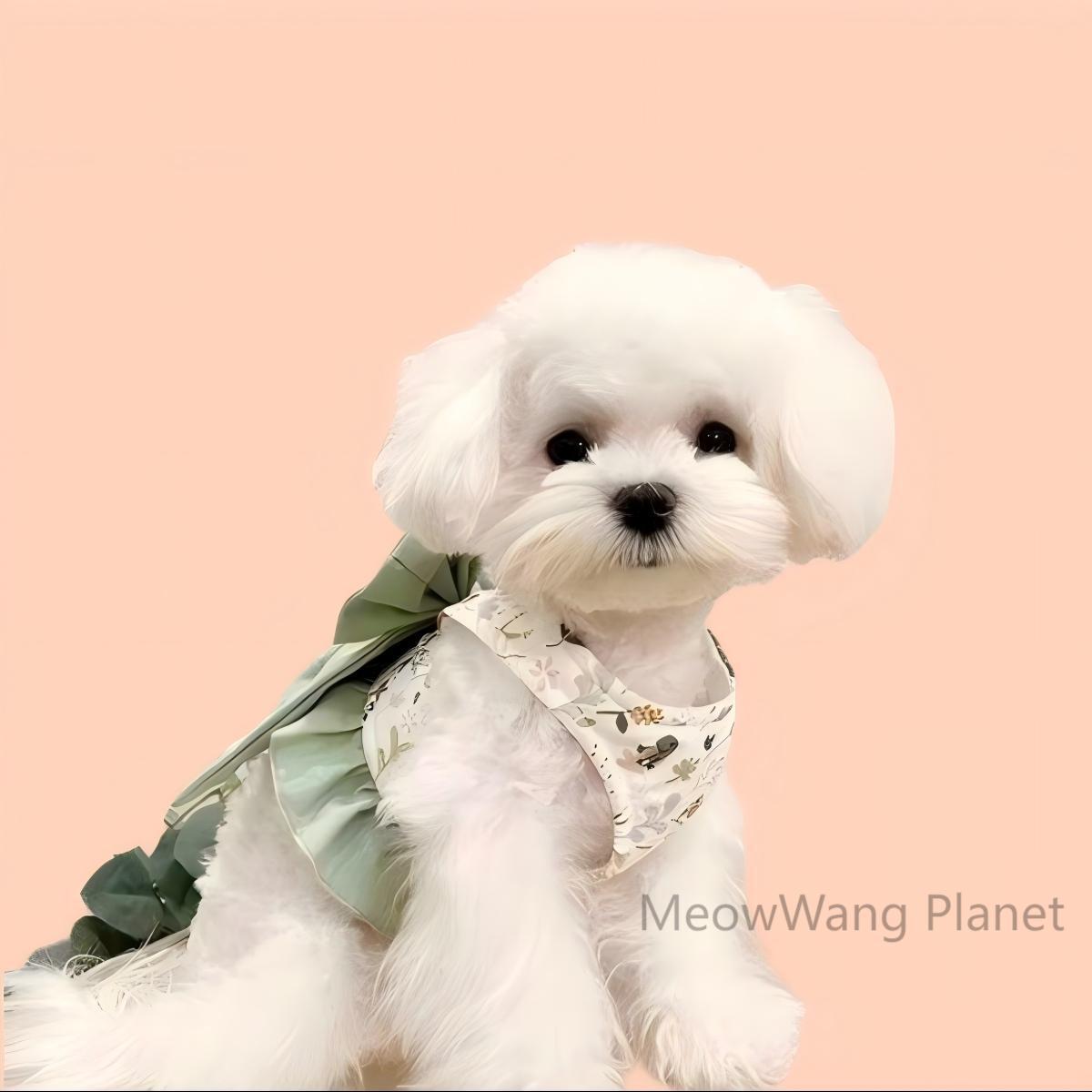 Elegant Bow Harness + Leash Set for Cats & Small Dogs Pets Possessions