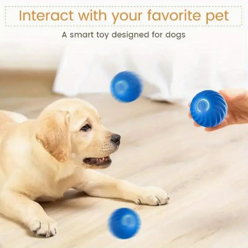 Pet Bouncing Ball Great for Exercising, Training and Pet Stimulation for Cats & Dogs Pets Possessions