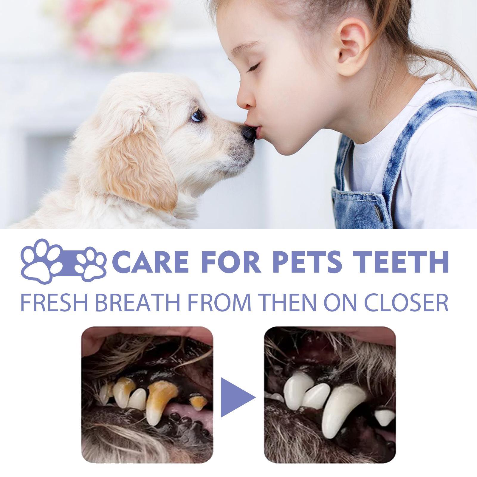 Yegbong Teeth Cleaning Spray for Cats & Dogs Pets Possessions