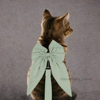 Elegant Bow Harness + Leash Set for Cats & Small Dogs Pets Possessions