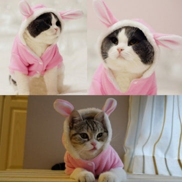 Cutest Bunny Hop Cotton Fleece for Cats & Dogs Pets Possessions LLC