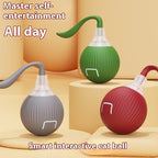Smart Interactive Super Drive Cat Rolling Ball Pets Possessions