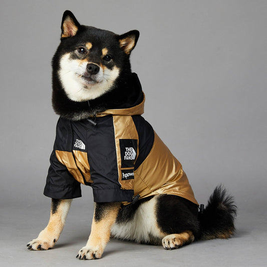 Stylish Windproof Raincoat for Dogs Pets Possessions LLC