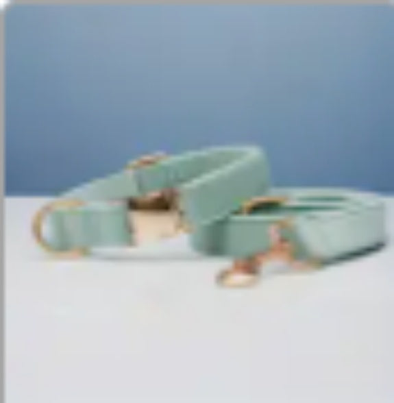 Multiple Color Velvet Customizable Dog Collar +Leash Set with Bow Pets Possessions