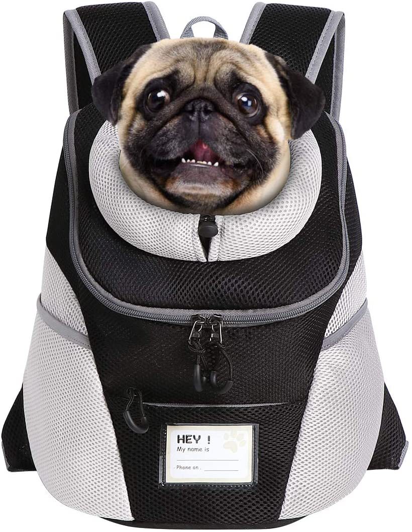 ComfortGo Breathable Lightweight Mesh Pet Carrier for Cats & Small Dogs Pets Possessions LLC