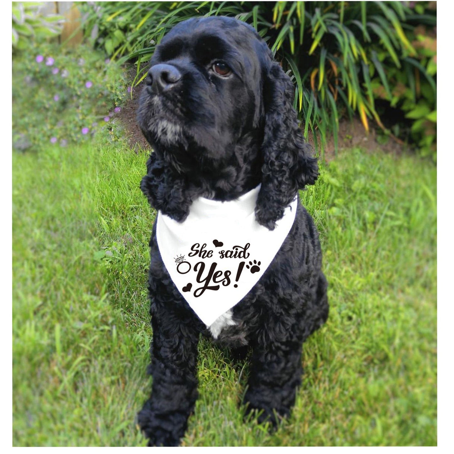 Celebration Scarves for Cats & Dogs – Wedding & Special Occasions Pets Possessions LLC