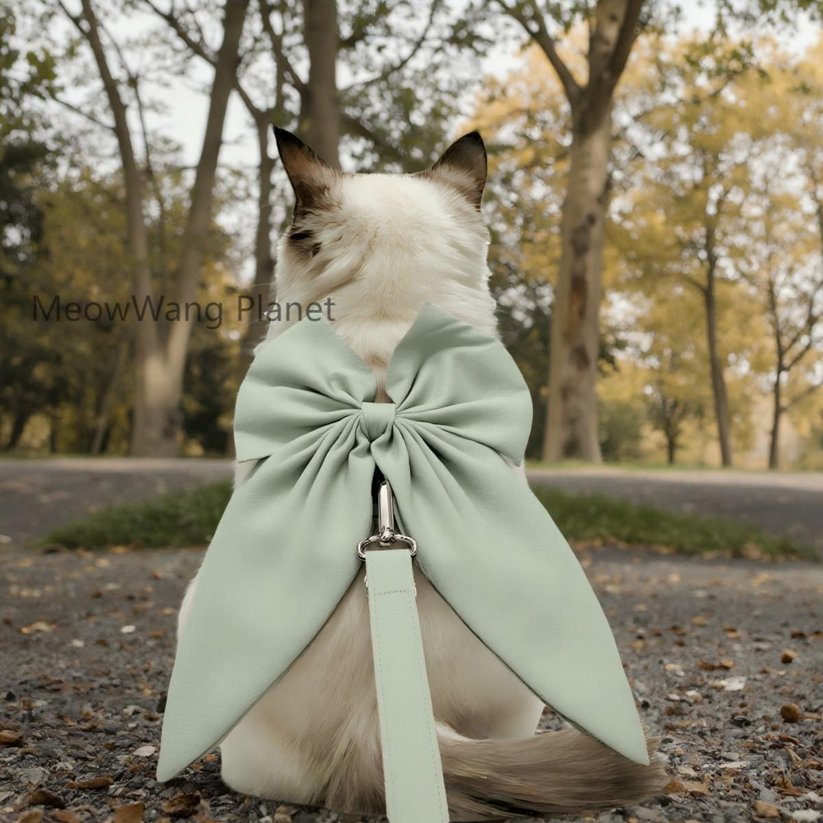 Elegant Bow Harness + Leash Set for Cats & Small Dogs Pets Possessions
