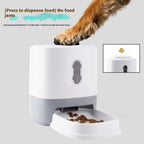 Automatic Pet Feeder Educational Press Feeding Toys Pets Possessions LLC