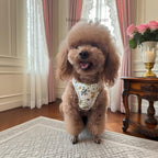 Elegant Bow Harness + Leash Set for Cats & Small Dogs Pets Possessions