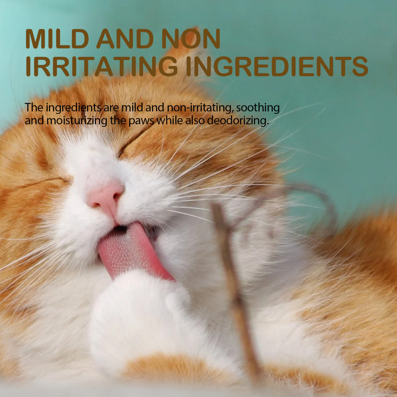 Yegbong Avocado Foot Balm Cleansing Care + Moisturizing and Crack-protection for Cats & Dogs Pets Possessions