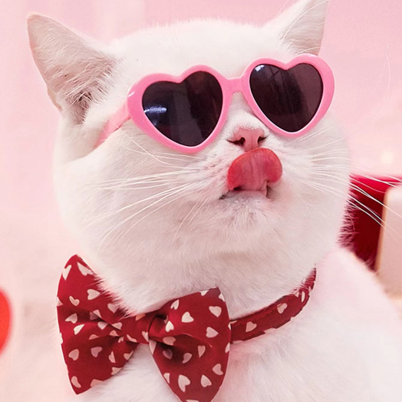 Valentines Heart Sunglasses for Cats & Dogs Pets Possessions LLC
