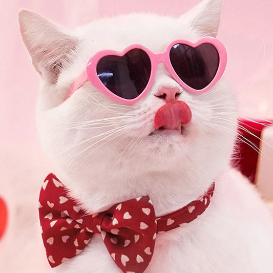 Valentines Heart Sunglasses for Cats & Dogs Pets Possessions LLC