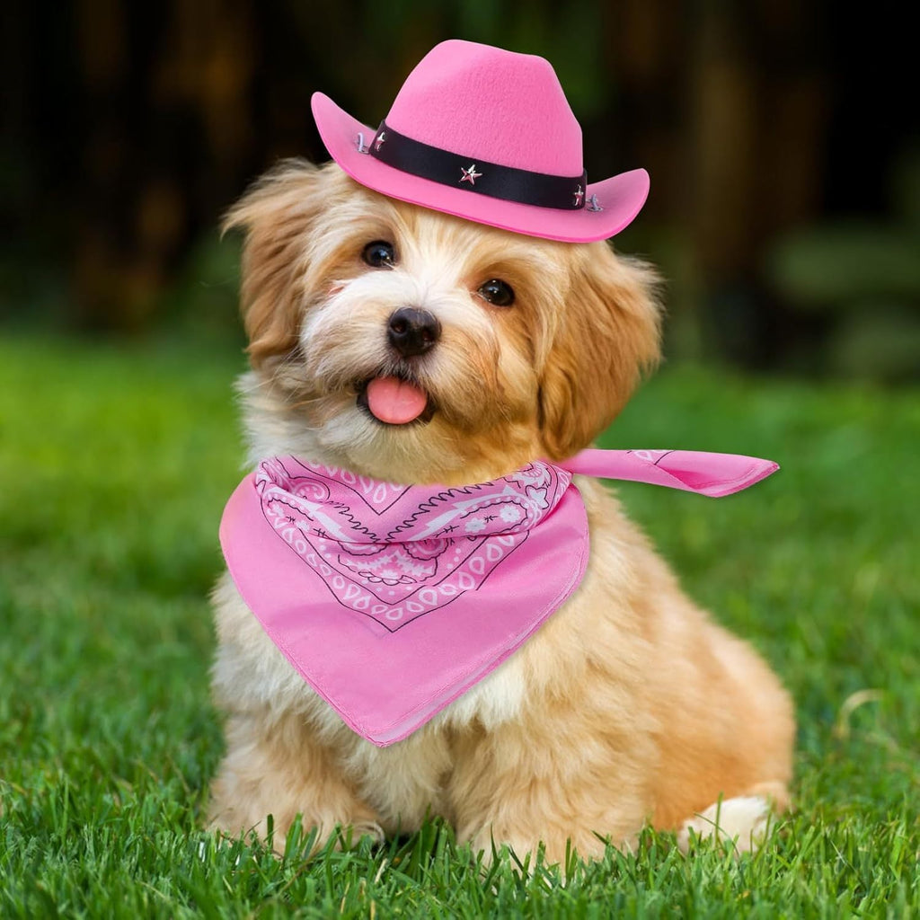 Pink Cowboy Hat and Bandana Set Suitable for Halloween Costumes Universal for Cats & Dogs Pets Possessions