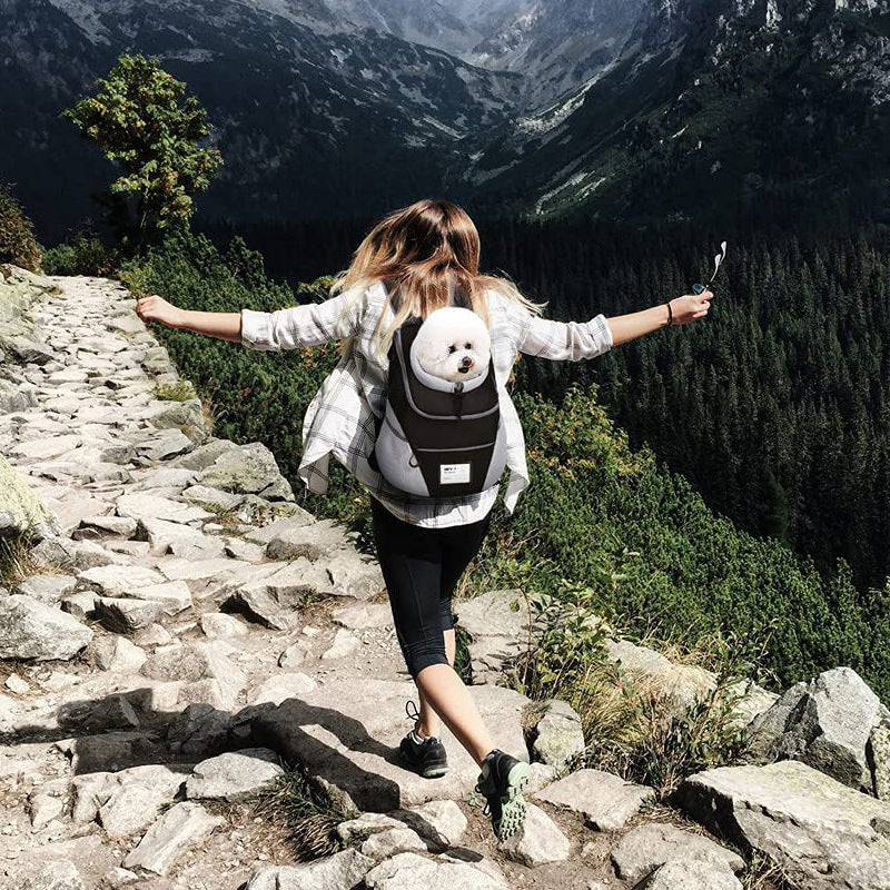 ComfortGo Breathable Lightweight Mesh Pet Carrier for Cats & Small Dogs Pets Possessions LLC