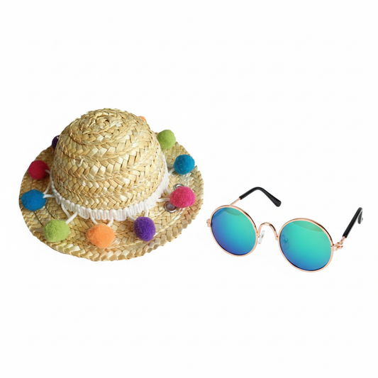 Pet hat and sunglasses side-by-side